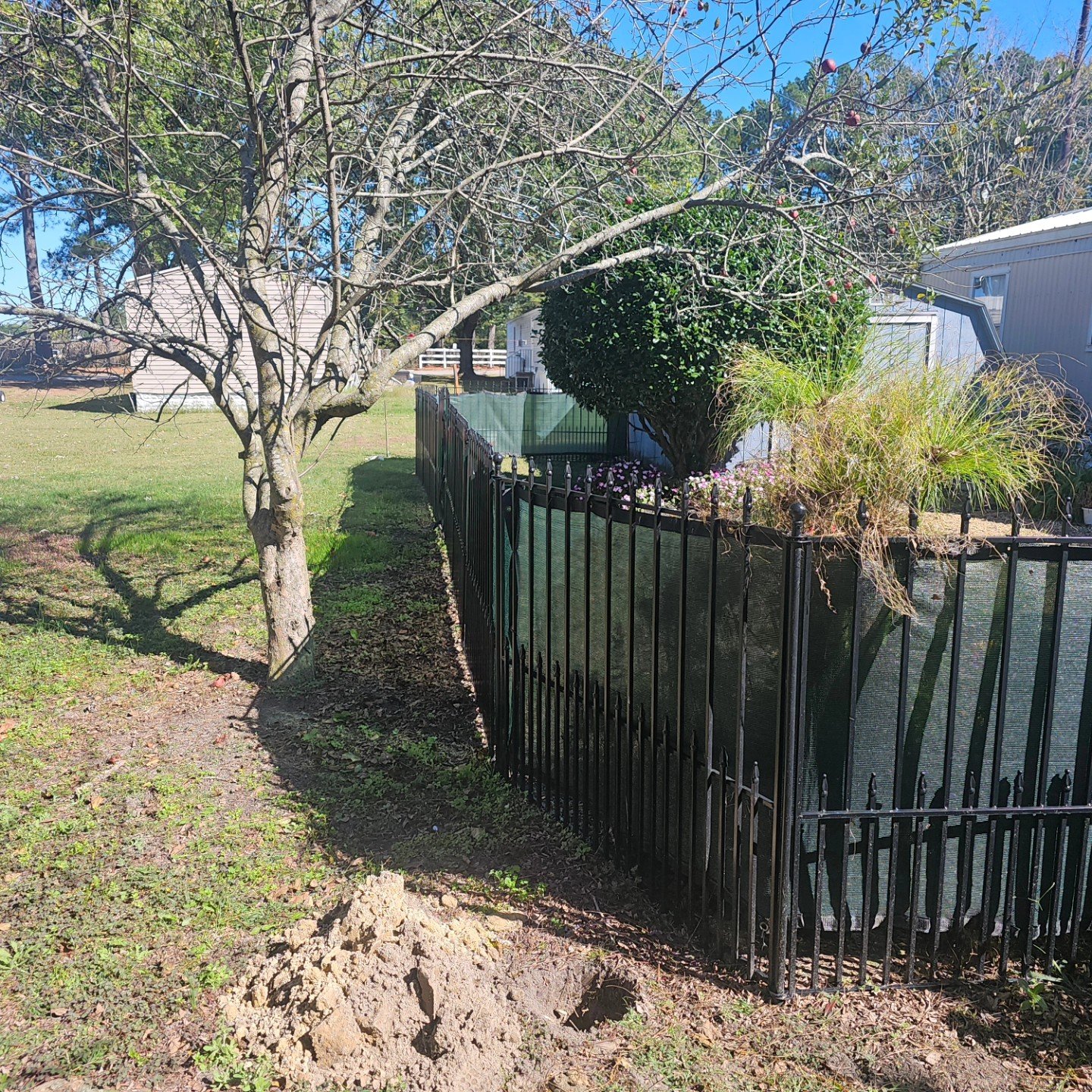 Black metal fence built around a tree in a front yard