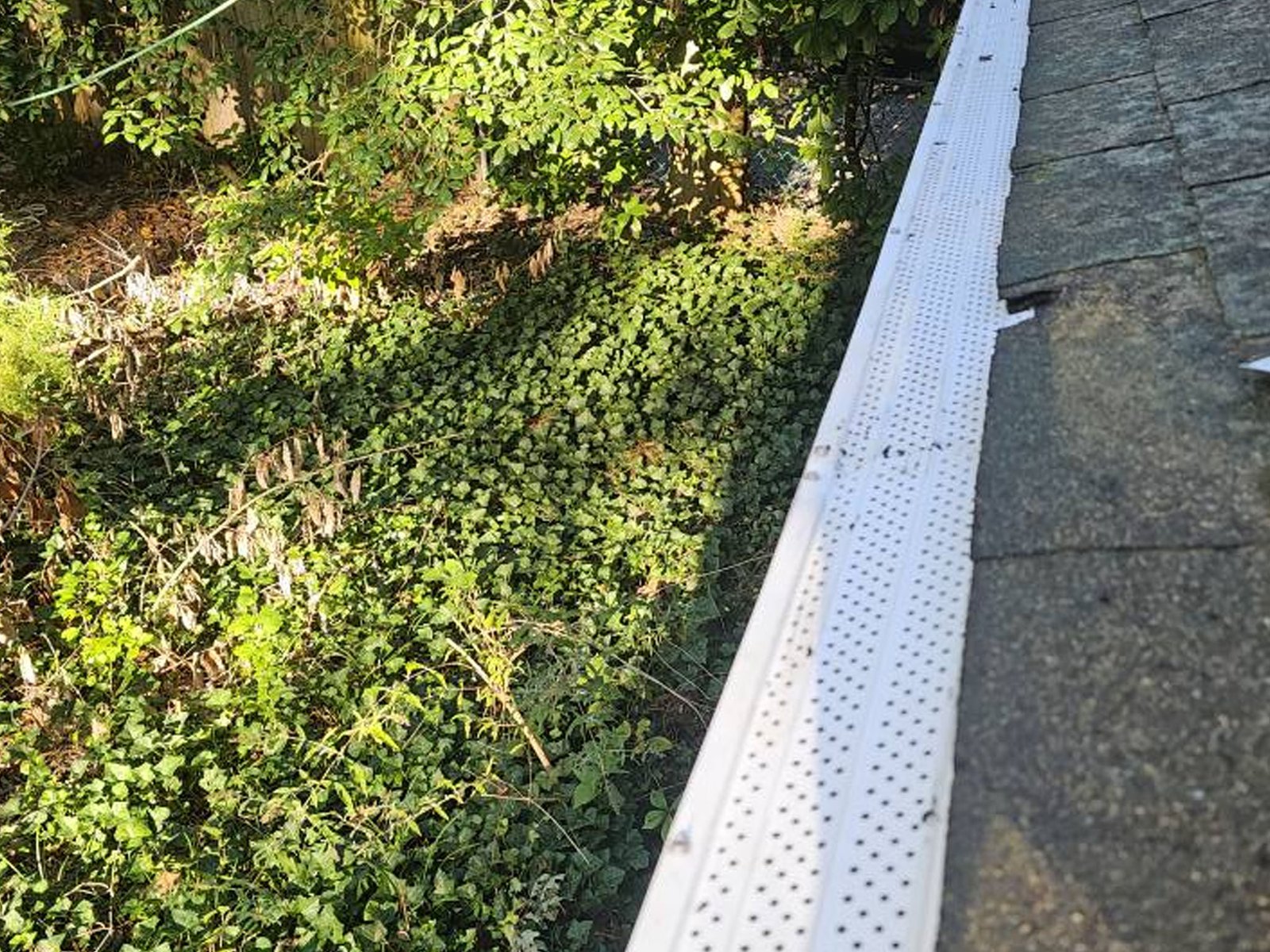 Close-up of a gutter with moss and debris buildup before cleaning
