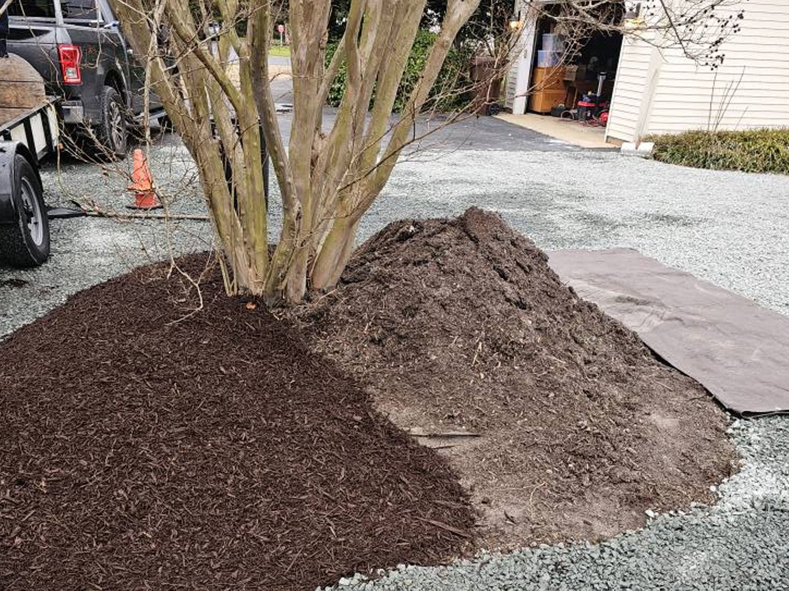 Freshly installed mulch bed around a plant