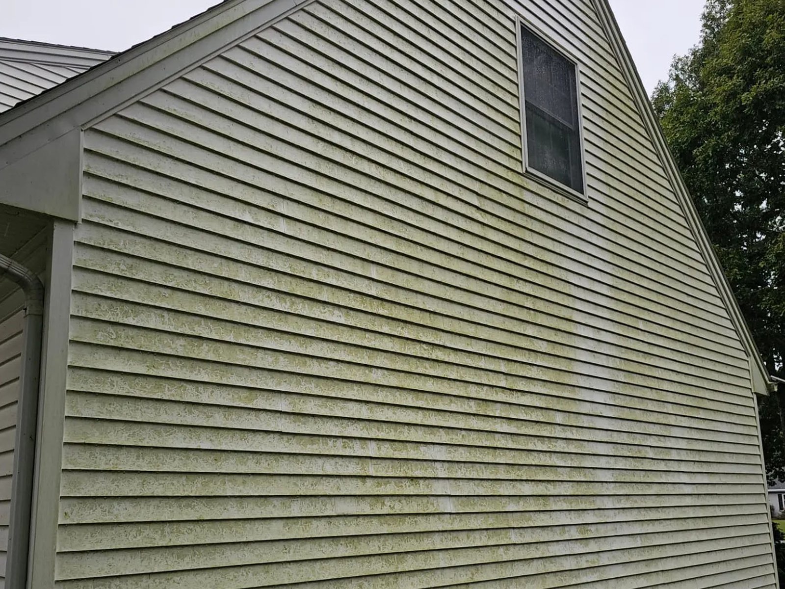 Vinyl siding on a home showing algae buildup before pressure washing
