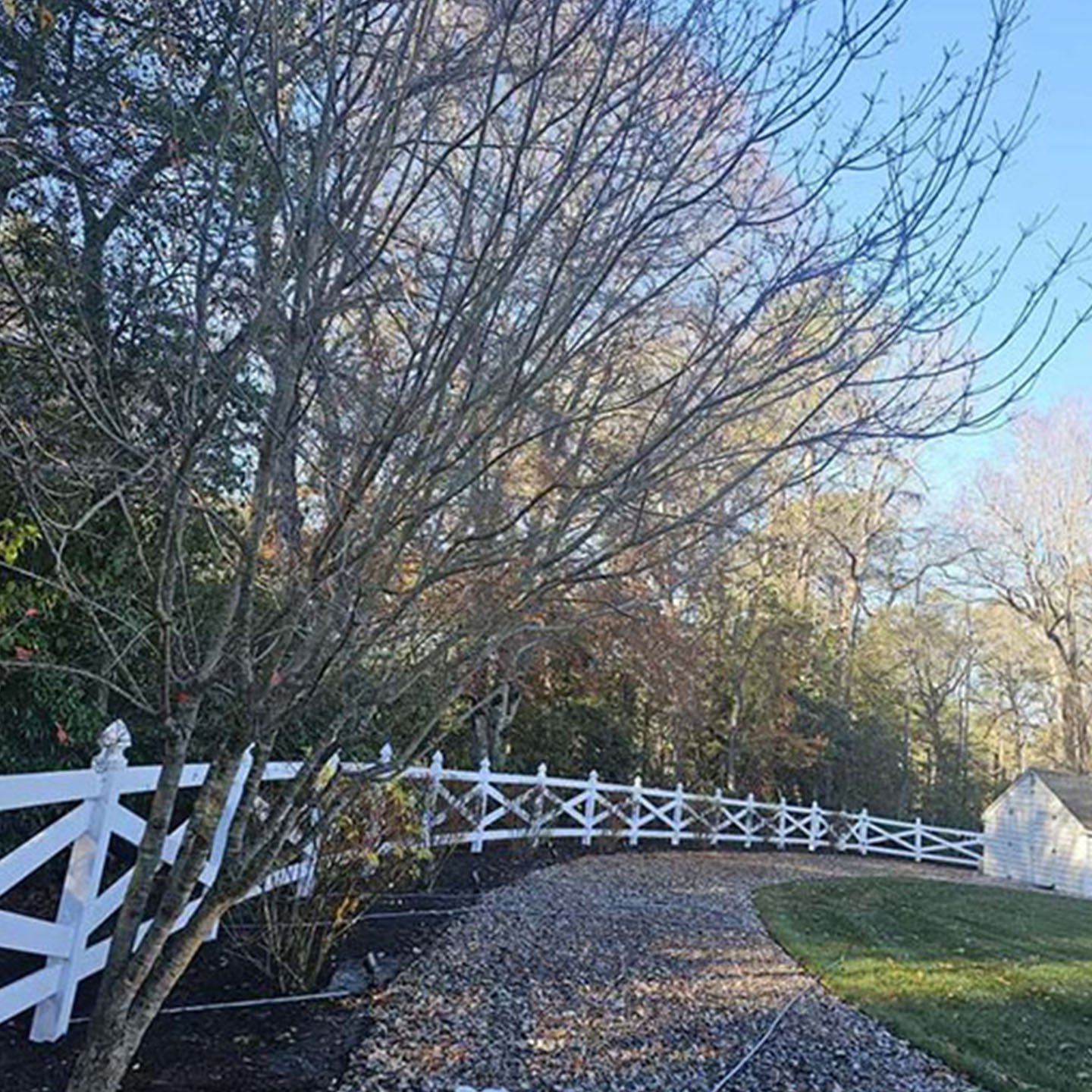 White picket fence along a gravel driveway